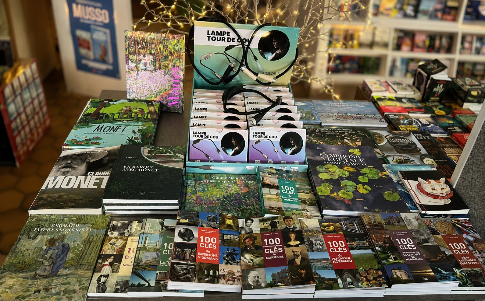 Vitrine de la librairie Au Marque Page